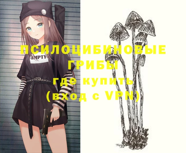 наркотики Богородицк